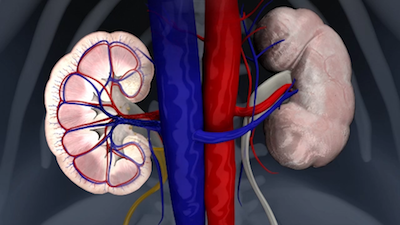 V&iacute;deo do YouTube